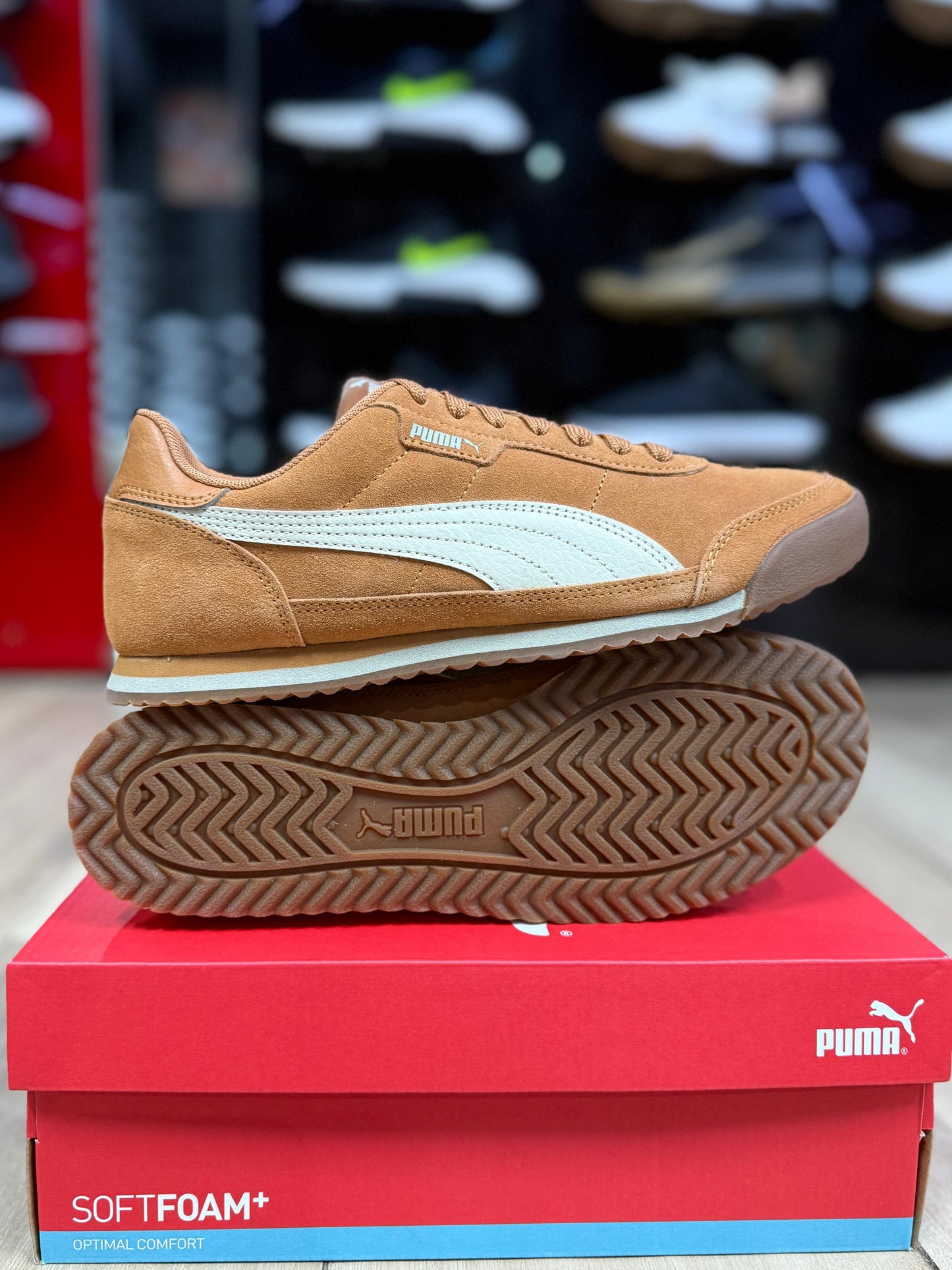 PUMA TURINO II OG MARRON
