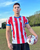 REMERA PUMA MASC ALBIRROJA HOME JERSEY